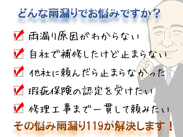 どんな雨もりでお悩みですか？